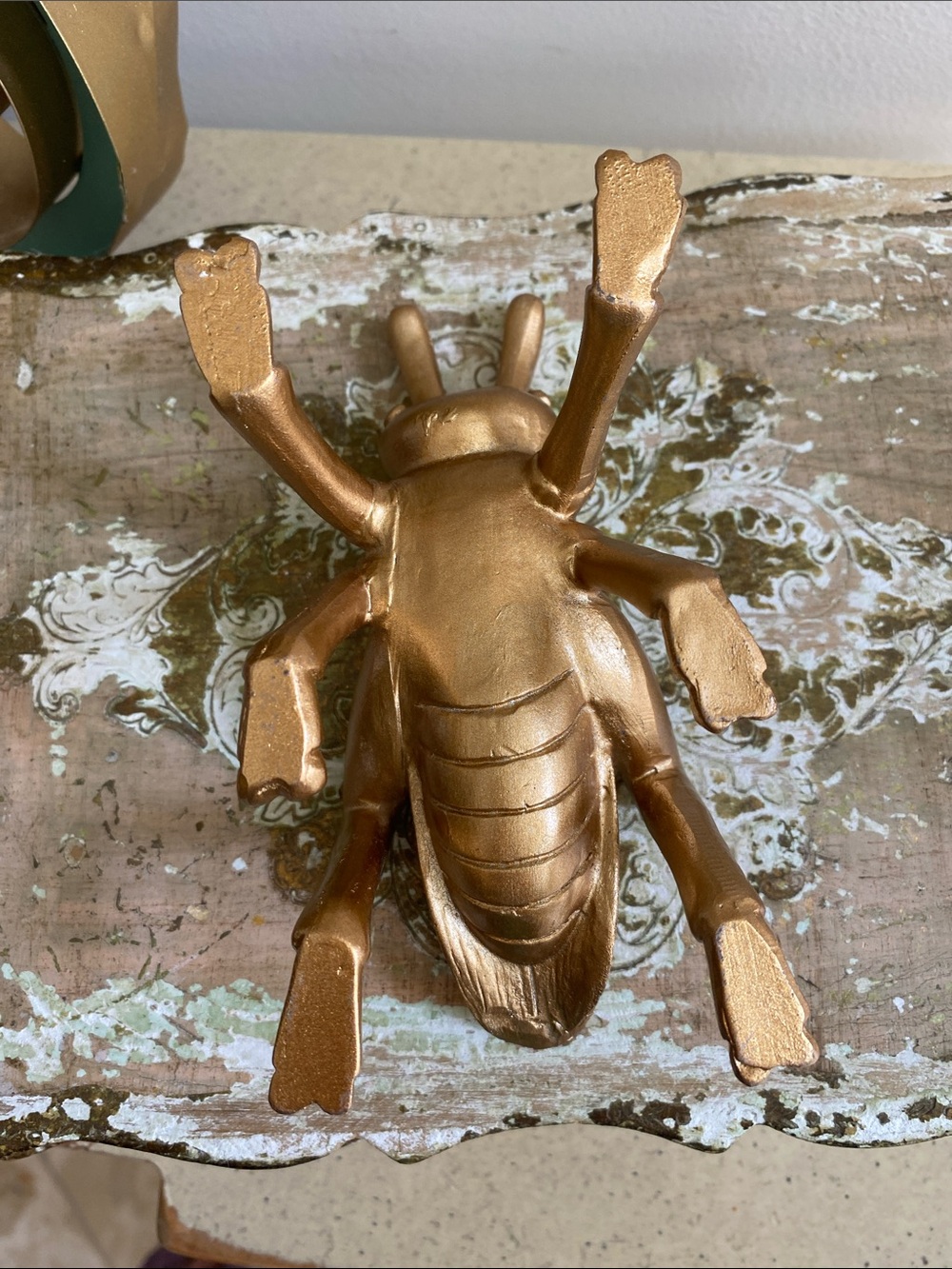 Gold Cricket - Picture 4 of 6